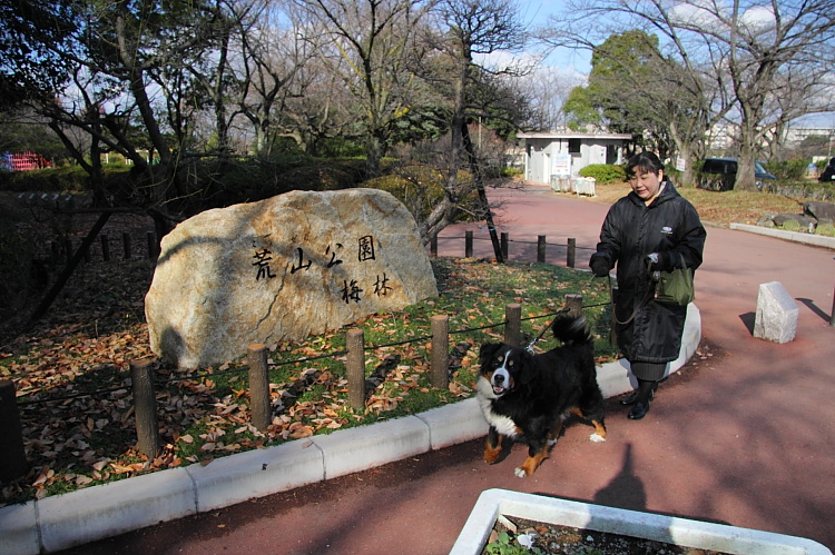 12月23日（火）、泉北へ-かつクンの携帯事件勃発（長いです）_b0065717_7412194.jpg