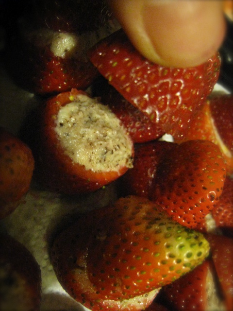 c0120817_17363596.jpg