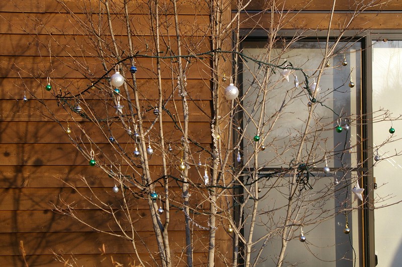 e0136424_9183090.jpg