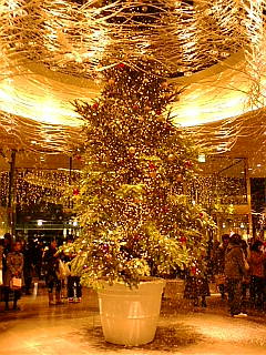 f0195131_21585731.jpg