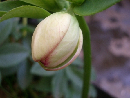 c0025140_23205042.jpg
