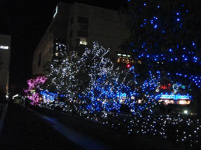 c0146040_18511962.jpg
