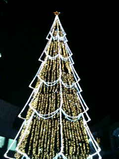 f0039541_17791.jpg