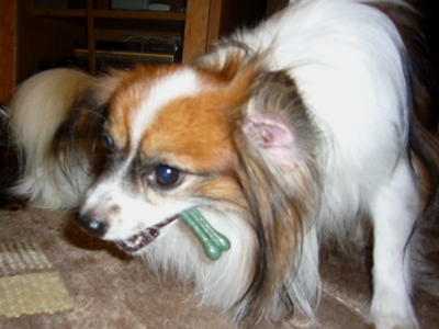 e0100046_23572767.jpg