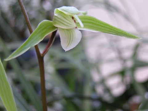 f0043750_22273630.jpg