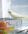 ポキートからのおたより_c0032056_20235320.jpg