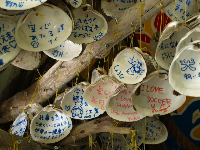 一念発起_d0153062_9581494.jpg