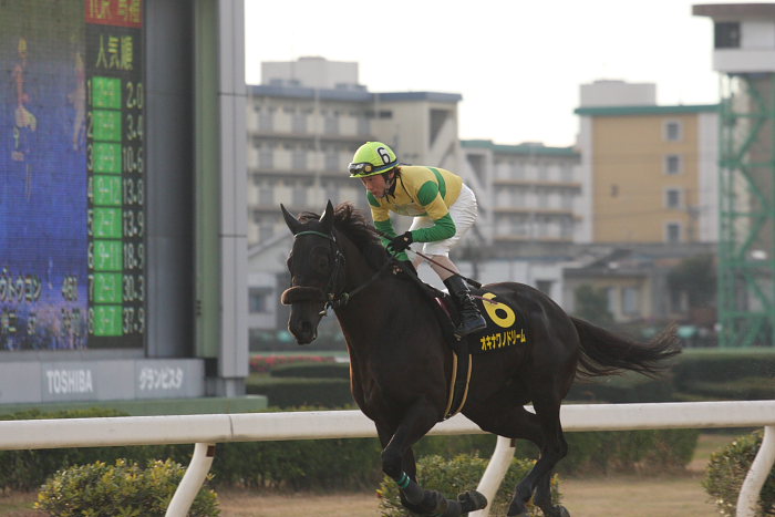 第8回 名古屋グランプリ（JpnII） その2_a0077663_18375750.jpg