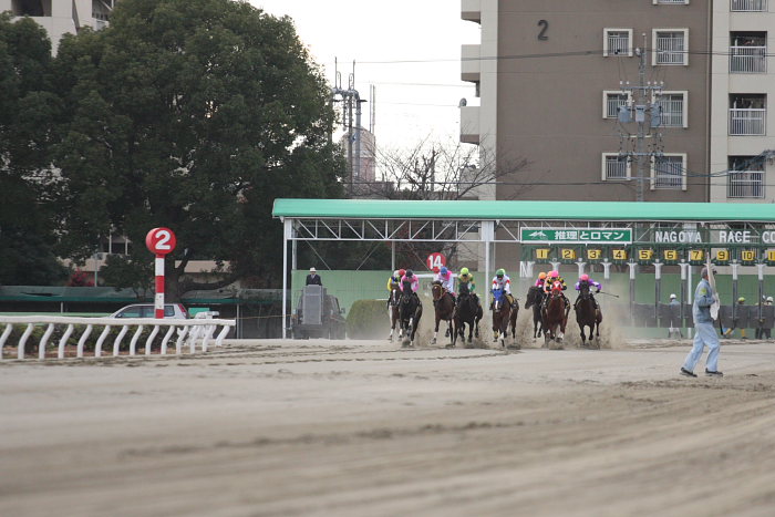 第8回 名古屋グランプリ（JpnII） その2_a0077663_1838197.jpg