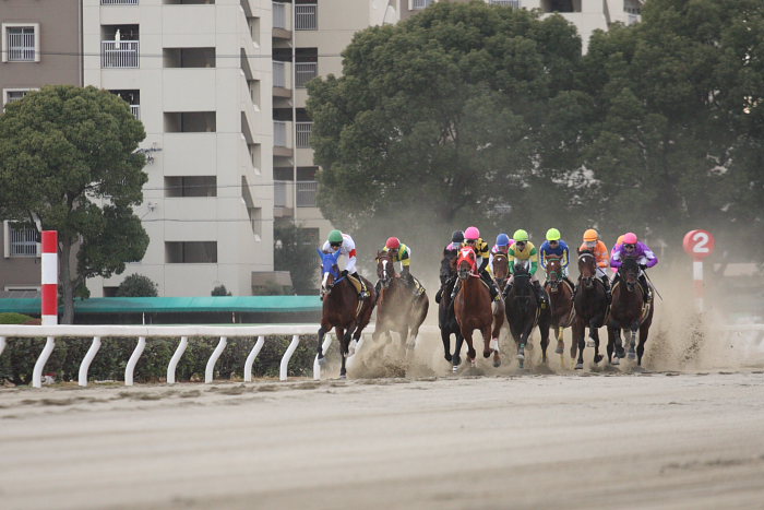 第8回 名古屋グランプリ（JpnII） その2_a0077663_18382828.jpg