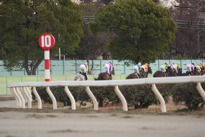第8回 名古屋グランプリ（JpnII） その2_a0077663_1844010.jpg