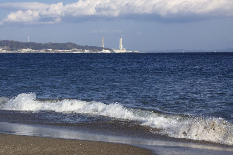 三浦海岸ほか（12月25日）_c0057265_22415012.jpg