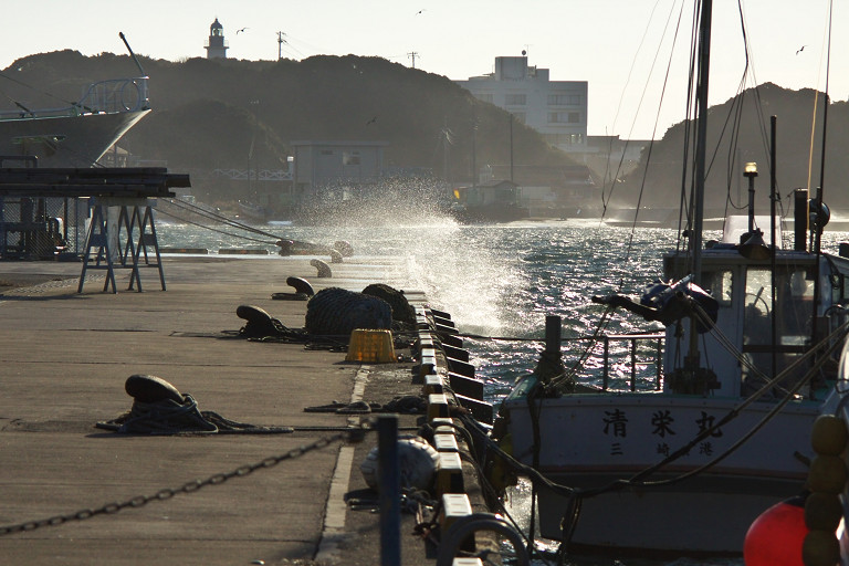 三浦海岸ほか（12月25日）_c0057265_22442723.jpg