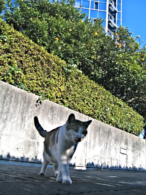 c0179267_14564141.jpg