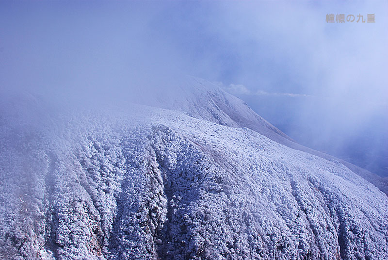 12月23日 天狗ヶ城朝駆け Part2_f0173067_23543570.jpg