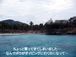 クリスマスダイブ! サンタのプレゼントは…_f0144385_1725848.jpg