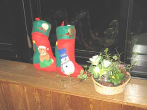 ホワイトクリスマス_e0120896_20244717.jpg