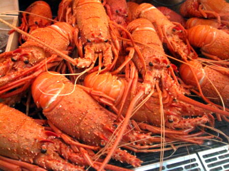 c0090198_141540.jpg