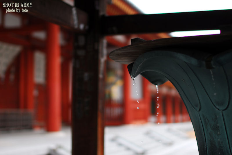 Yakushiji after the rain #4　/　SIGMA 50mm F1.4 EX DG HSM 試し撮り in 薬師寺  _d0085501_11324049.jpg