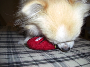 c0132205_1016122.jpg
