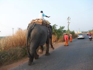 d0094310_2340326.jpg