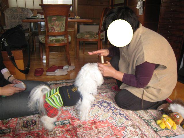 c0079011_10331537.jpg