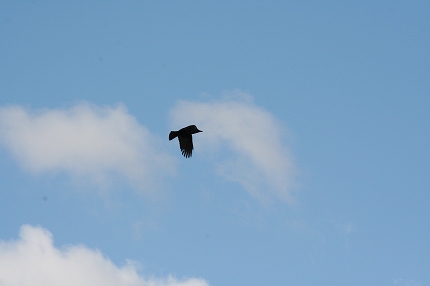 f0191413_20142741.jpg