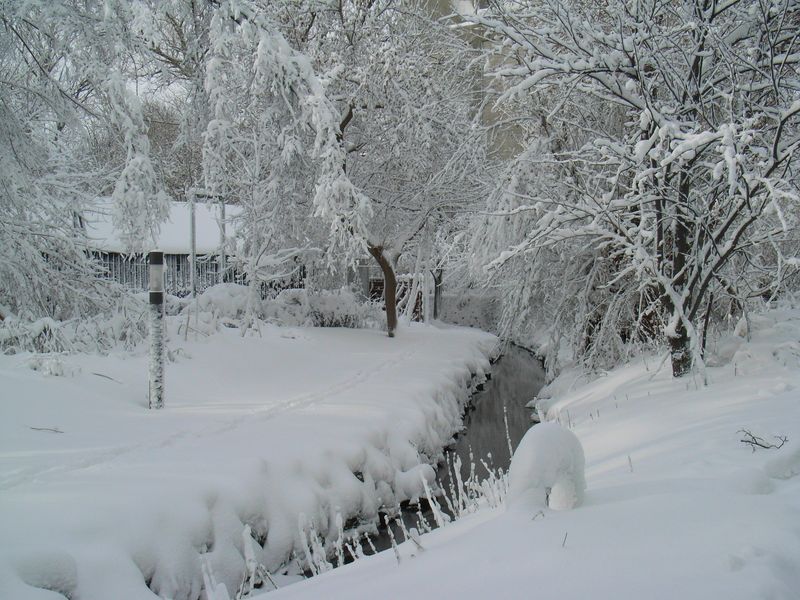 豪雪と寒波_c0025115_1929513.jpg