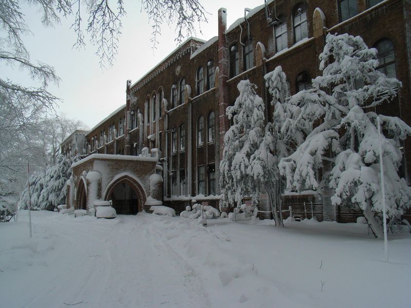 豪雪と寒波_c0025115_1930451.jpg