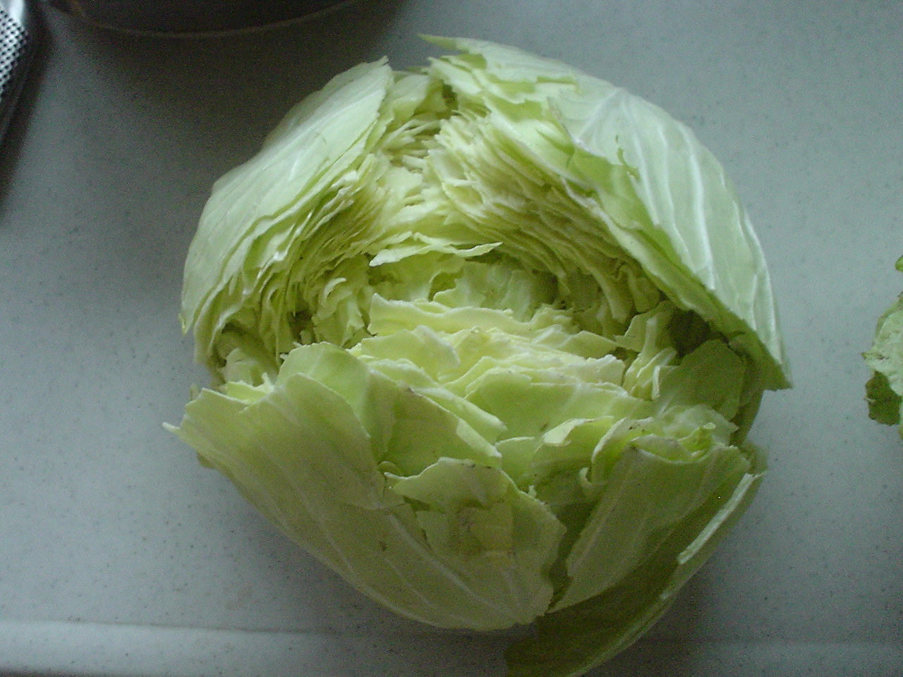 c0150520_234914.jpg