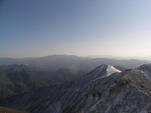 d0111124_1723829.jpg
