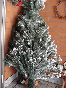 f0170524_12413437.jpg