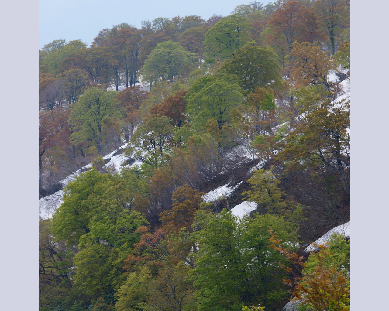 c0006928_20561522.jpg