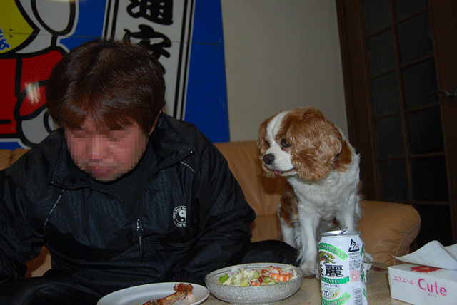 c0136838_131969.gif