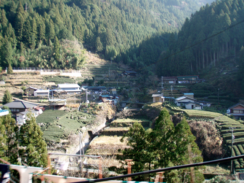 d0110641_1955486.jpg