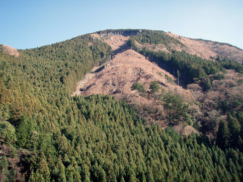 d0110641_196934.jpg