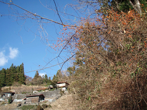 d0110641_1975549.jpg