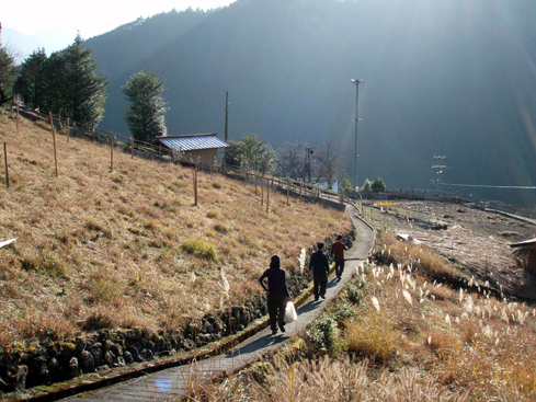 d0110641_1982918.jpg