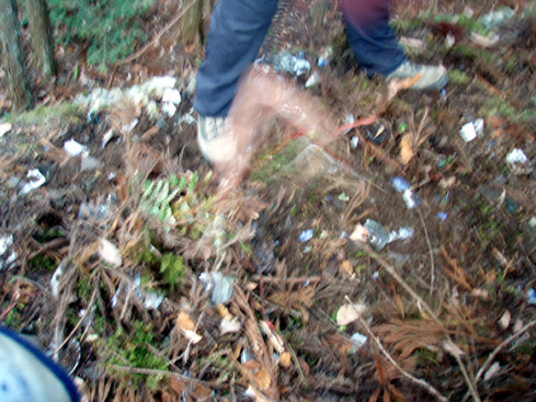 d0110641_1985850.jpg