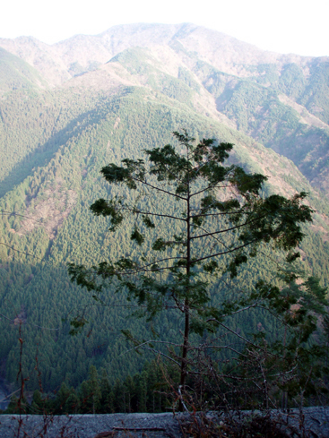 d0110641_1993748.jpg