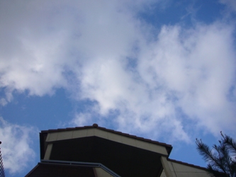e0100046_2333259.jpg