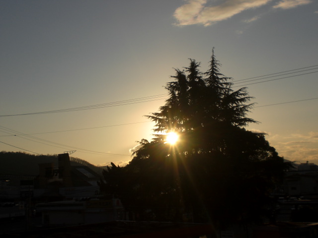 b0152548_17205559.jpg