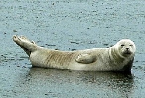 c0047856_1153465.jpg