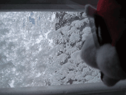 b0159557_1784148.gif