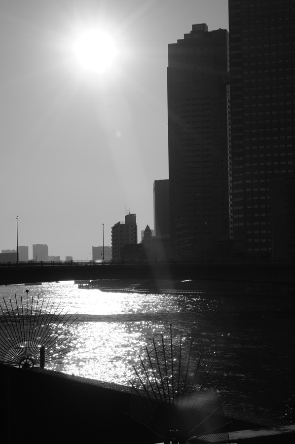 冬の水面_f0079061_16485468.jpg