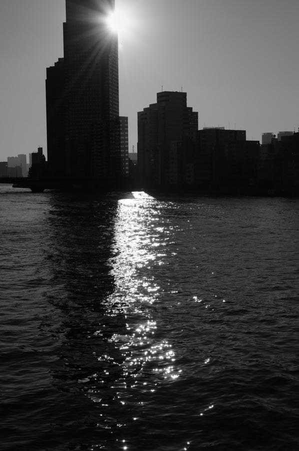 冬の水面_f0079061_1649166.jpg