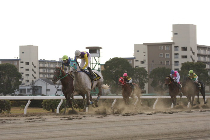 第8回 名古屋グランプリ(JpnII) その3_a0077663_1884196.jpg