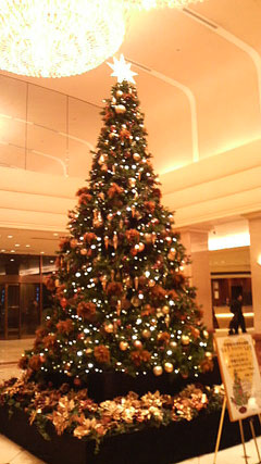 c0127670_1442641.jpg