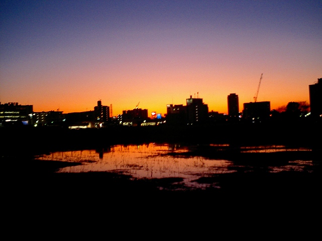 b0155973_10365889.jpg