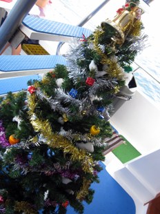 クリスマスクルーズ!1泊2日シミラン諸島_f0144385_7462289.jpg